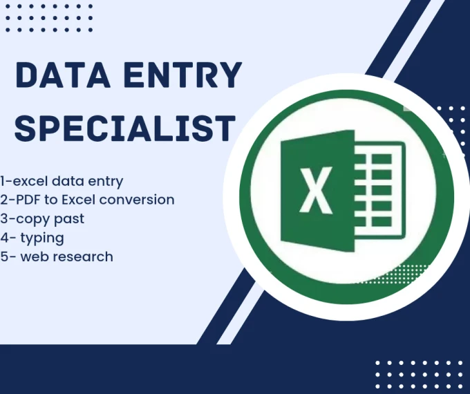 I do professional excel data entry also can copy paste date and type it