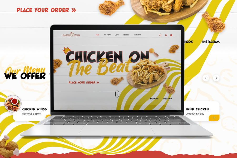 I will design or redesign your website