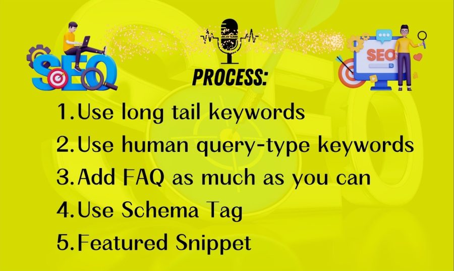 I will Provide you google voice search SEO optimization for website