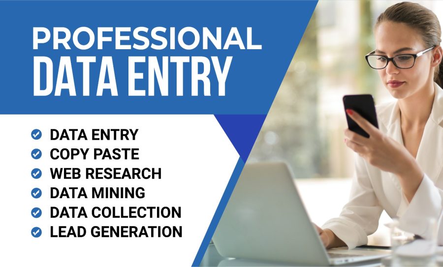 Data Entry Expert Professional 