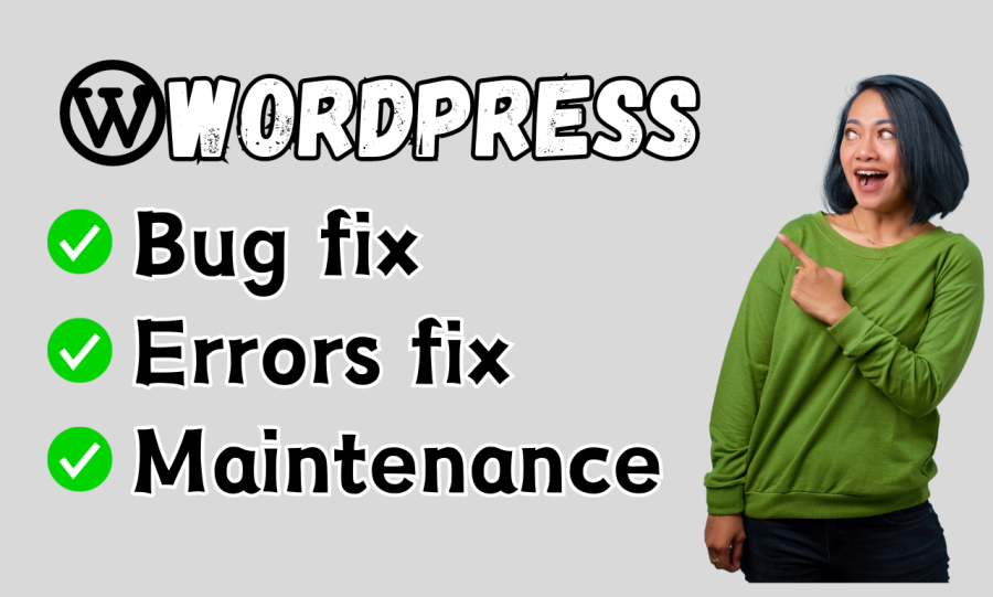 fix WordPress errors, issues, bugs and do maintenance on daily basis