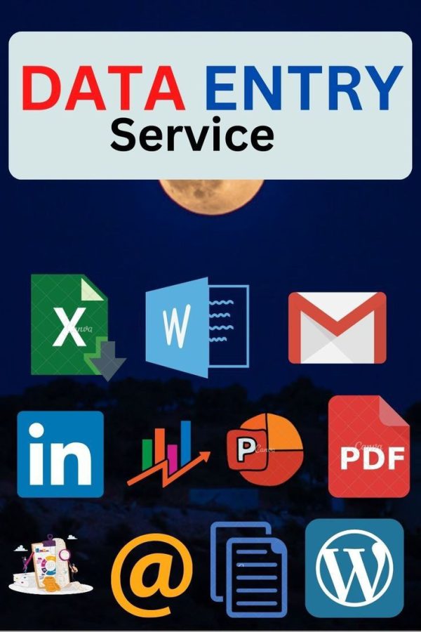 I am a highly skilled freelancer in Data Entry Excel MS office with 100% satisfaction
