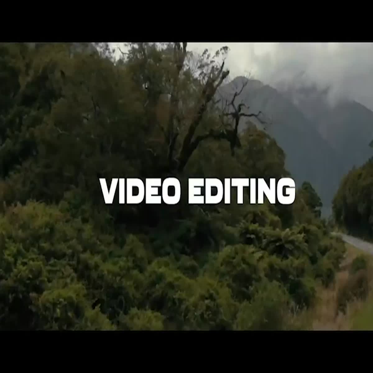 I will do exclusive travel, commercial, wedding video editing