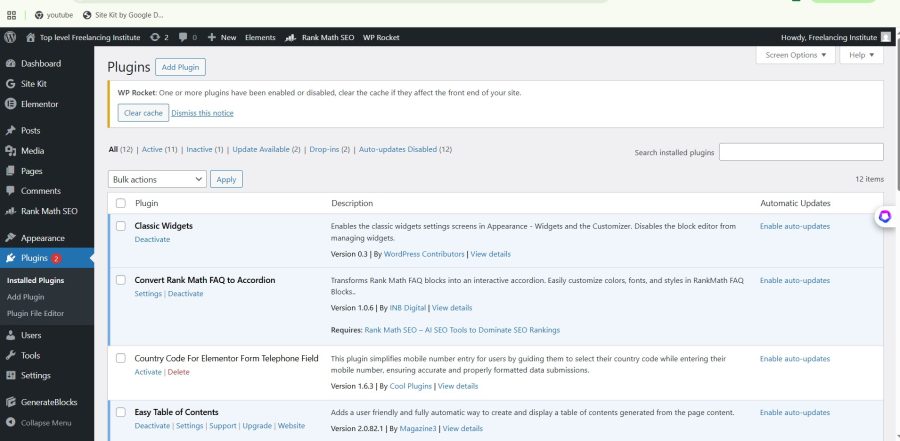 Professional WordPress Blog Website Design