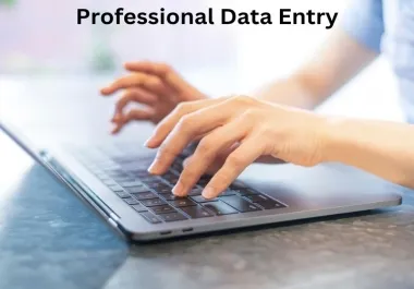Data Entry Operator for all kind of Data