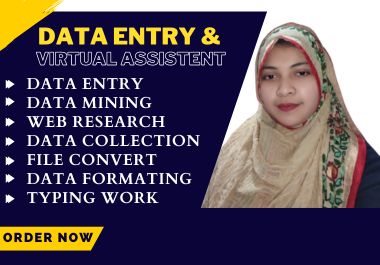 I will be your skilled virtual assistant 5 hour can perform data entry, copy-paste, salary sheet con