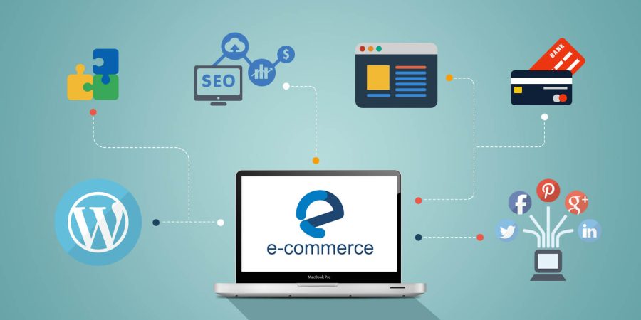 I will fix all the WordPress website bugs, update website content and more. 