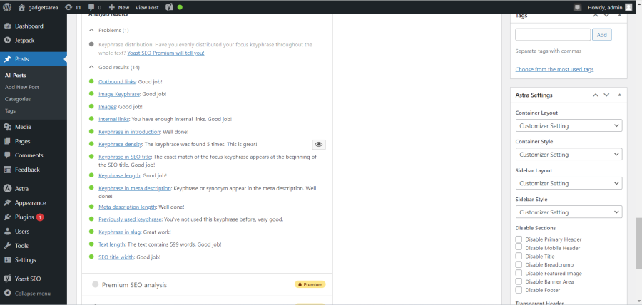 I will do on page SEO on WordPress to get your website ranking