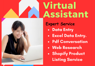 I will do data entry, copy paste, web research, excel data entry, PDF to excel