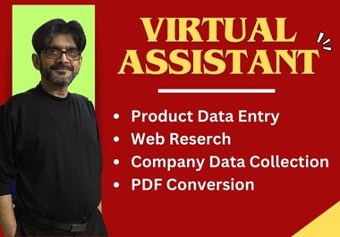 I will do virtual assistant for Product data entry, web research, Company data collection etc