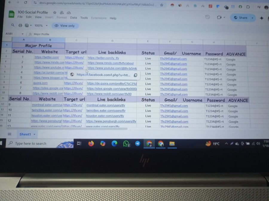 build 30 backlinks to high-authority profiles