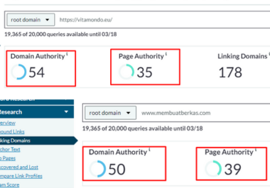 I will Increase MOz DA 50+ PA 30+ with Permanent Guaranteed 100 spam free work