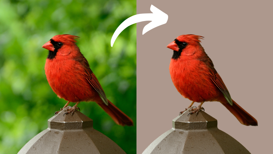 Upscale, improve, Colorize and Enhance your low quality images and photos (5 Photos)