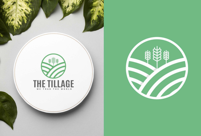I will create a clean,modern business logo design