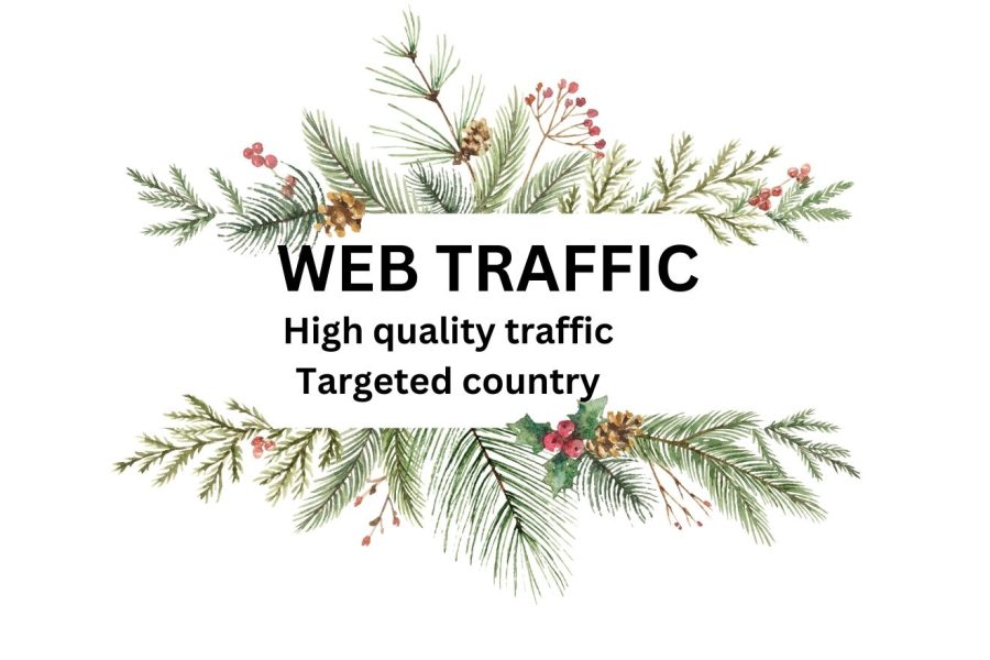 I will send you 400-500 web traffic per day from USA