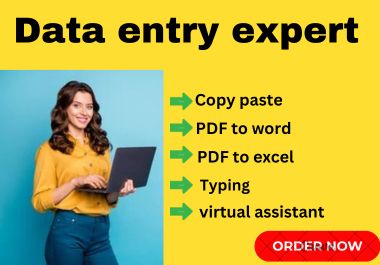 I will do a virtual assistant for data entry, data mining, copy-paste, and writing service