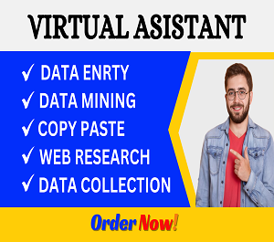 I will do virtual assistant for data entry, data mining, copy paste, web research