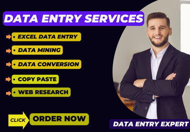 I will do data entry, data mining, data conversion, web research properly