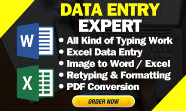  typing job, data entry work, PDF to word or excel