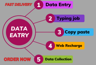 i will do data entry, typing, copy paste, PDF to excel also your virtual assistant