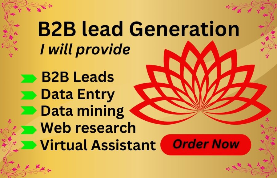  B2B Leads, Data Entry, Data Scraping ,web research, virtual assistant