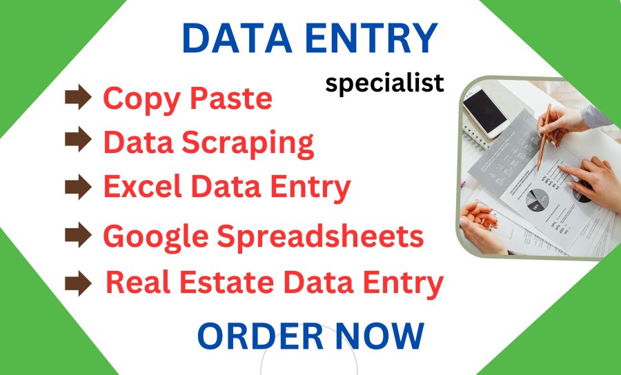 I will do data entry, web research, excel data cleaning, copy paste.