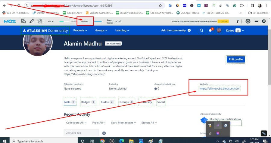  I will generate 300 high authority profile backlink SEO services 