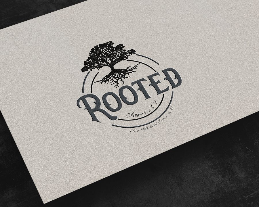 Premium Package - Logo Design, Logo Design Custom, Logo Design Branding, Logo Designer, Vintage logo