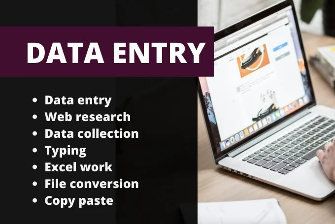 I will do accurate data entry, copy paste, web research, excel data entry in 24 hours