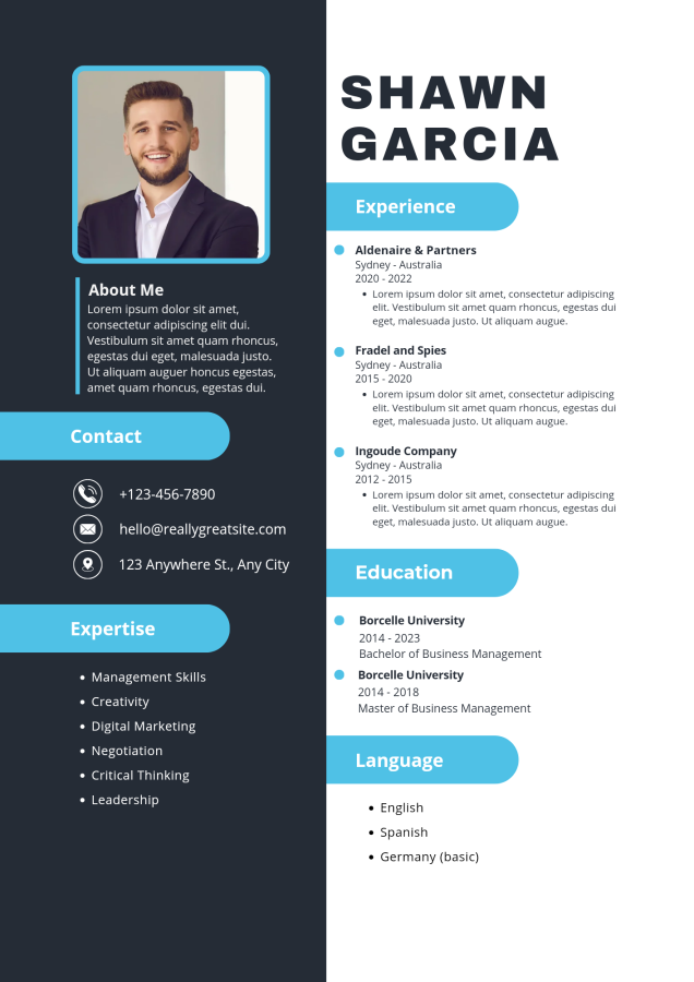 I provide professional Resume/CV design writing services 
