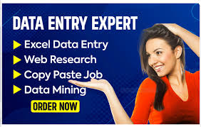 I Do All Data Entry Work Quickly 