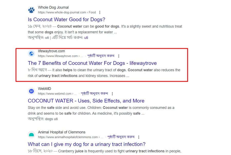 I will Do 700 Do Follow Profile Backlinks High Domain Authority Score 80+