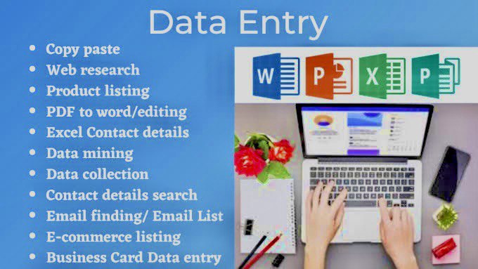 I am Professional Data Entry Expert