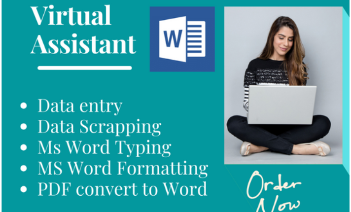 I will be your Virtual Assistant for data entry, typing and copy paste work.