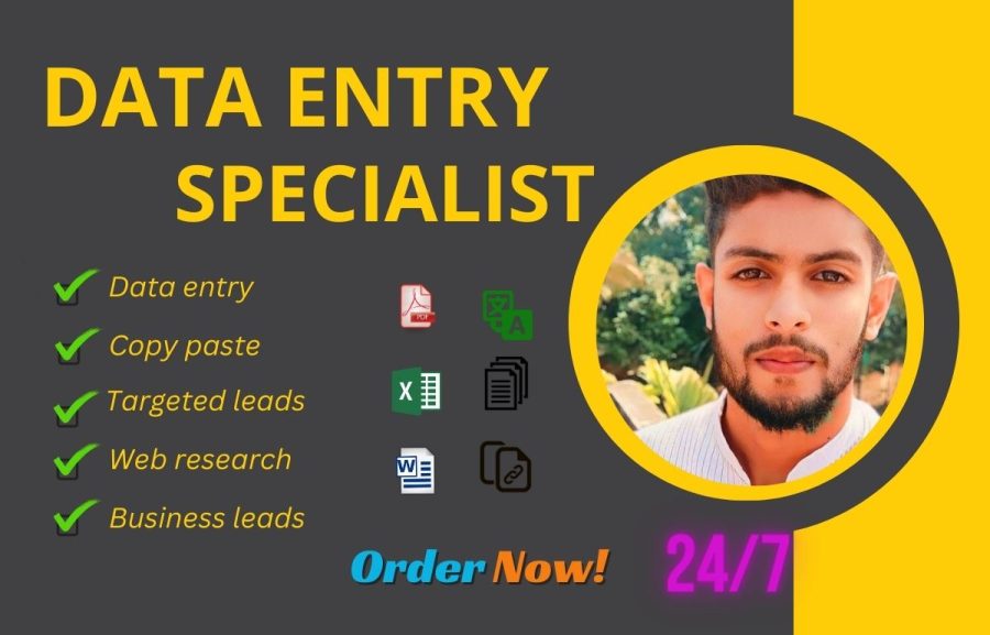 I am a professional data entry,web research,copy paste,Business leads