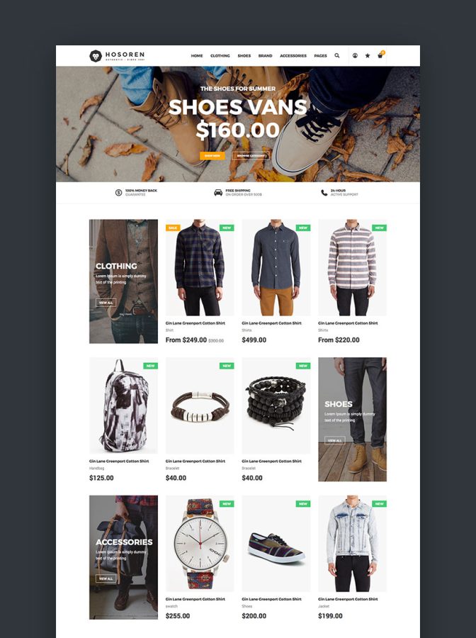 Build Your shopify Droppshipping web-site 