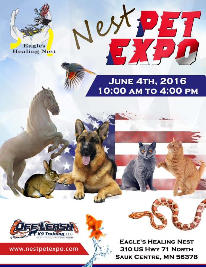 I will do professional design services poster, banner, flyer, brochure