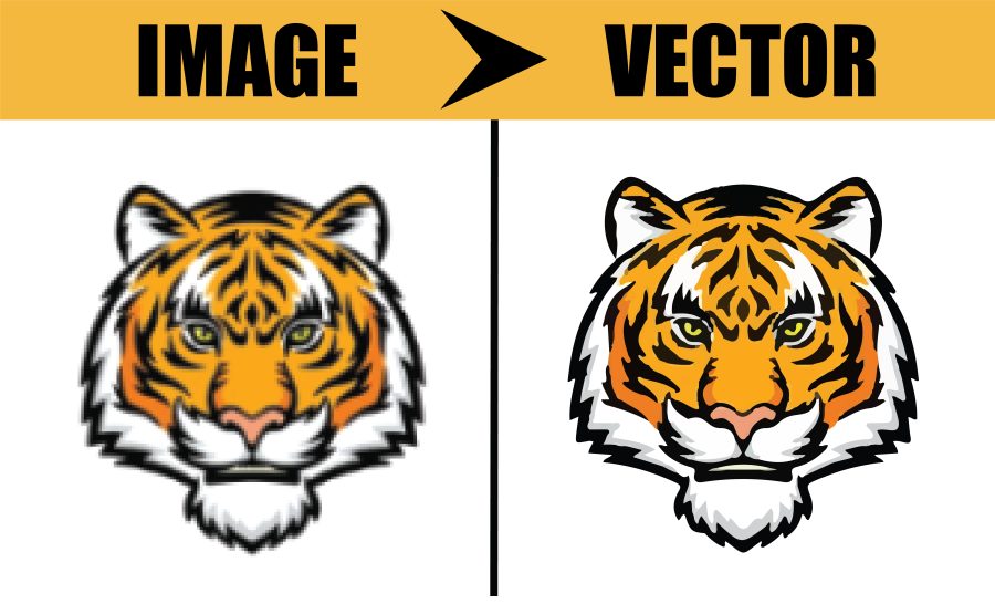 I will perfectly trace your logo, image, or anything into vectors quickly.