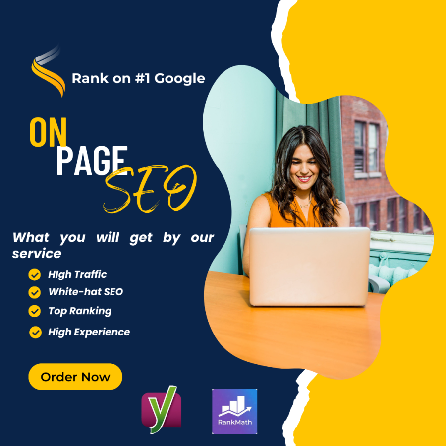 I will do WordPress on-page seo optimization for your website