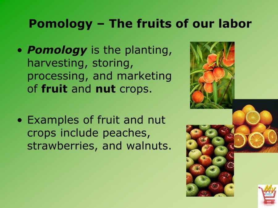 I will deal with crop production, pomoculture and floriculture