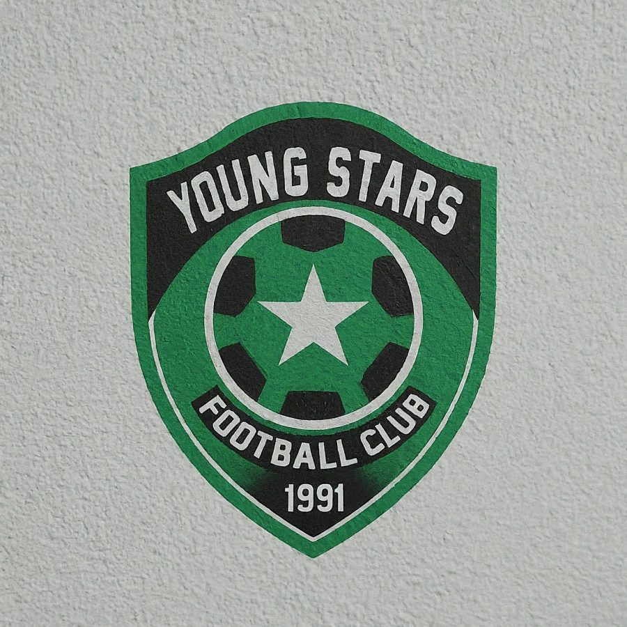 I create world class logo in short time.