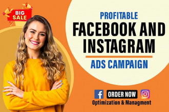 I will create facebook ads campaign, instagram ads campaign for sales and leads