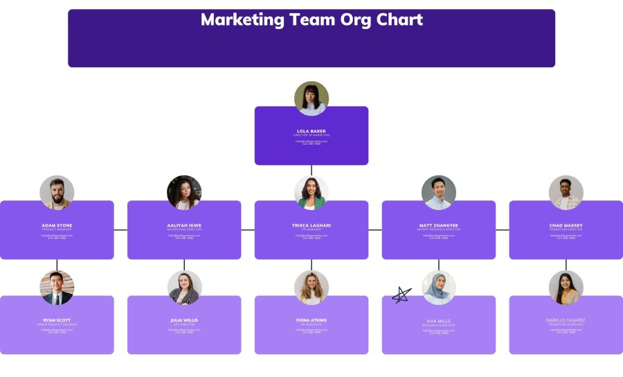 I will Design Professional Unique Infographic