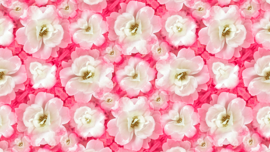 I am a professional 4k Pattern designer,logo and NFT designer 