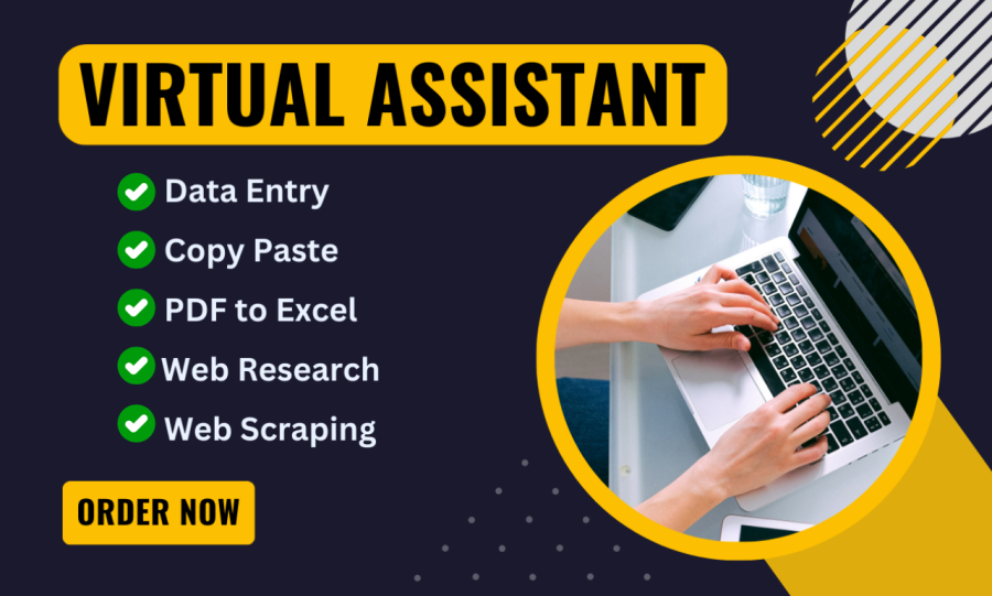 Efficient Data Entry Operator for Accurate and Timely Data Management 