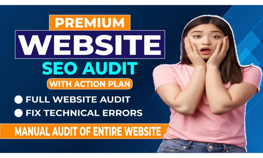 Expert SEO Audit and Penalty Recovery Action Plan 