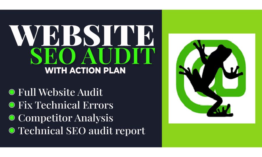 Expert SEO Audit and Penalty Recovery Action Plan 