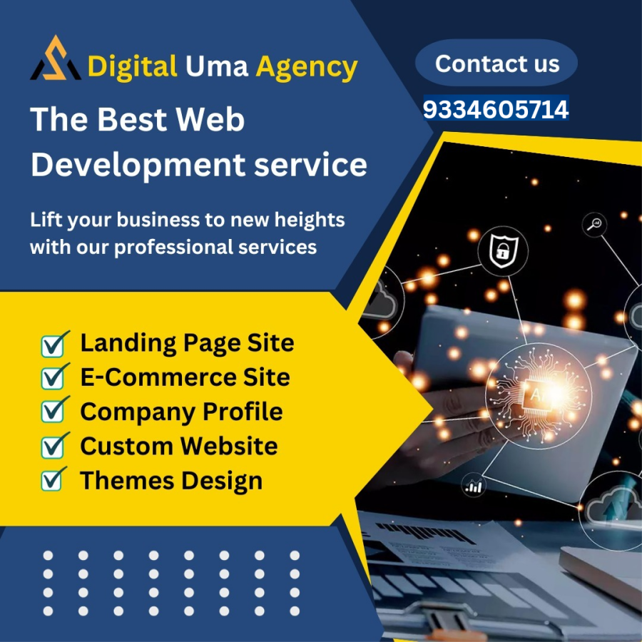 I am a professional website developer 