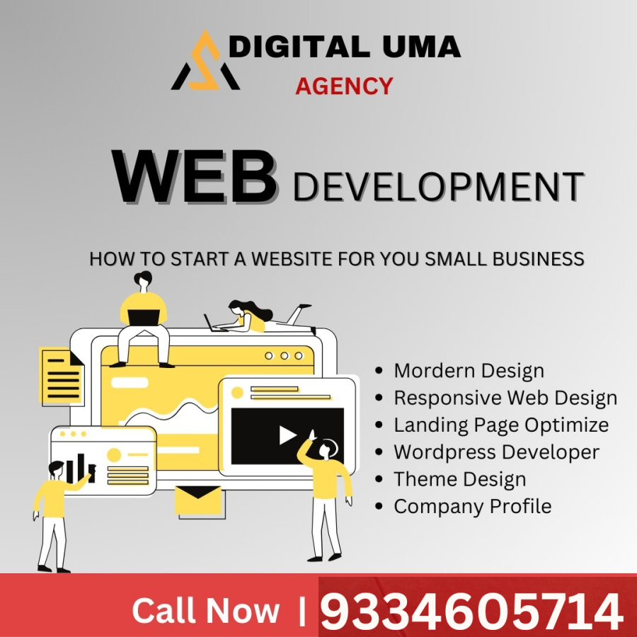 I am a professional website developer 