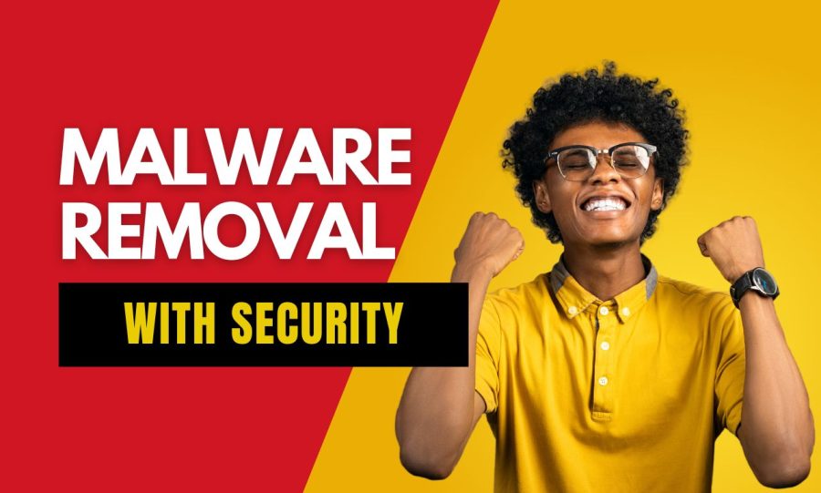 I Will Do WordPress Malware Removal & Analysis | Clean Malware Fast
